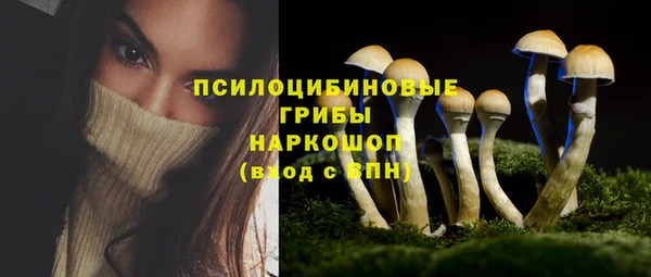 а пвп мука Богданович